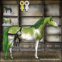 Horse Color:Watercolor White Spotted Bay 