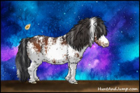 Horse Color:White Spotted Bay 