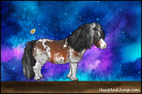 Horse Color:White Spotted Bay Splash Appaloosa