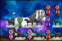 Horse Color:White Spotted Bay Chinchilla Appaloosa