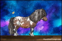 Horse Color:White Spotted Brown Appaloosa 
