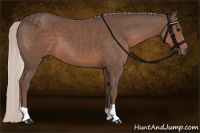 Horse Color:Silver Black 