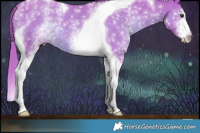 Horse Color:Watercolor White Spotted Liver Chestnut Tobiano 