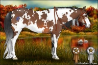 Horse Color:White Spotted Bay Sabino Appaloosa