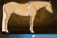 Horse Color:Palomino Dun Tobiano 