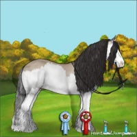 Horse Color:Bay Dun Splash Rabicano 