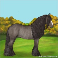Horse Color:Smoky Black Rabicano 