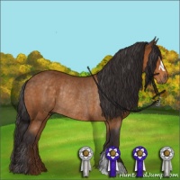 Horse Color:Buckskin Rabicano 