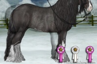 Horse Color:Smoky Black Sabino Rabicano 