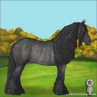 Horse Color:Black Rabicano 