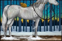 Horse Color:Silver Grullo Chinchilla Sabino 