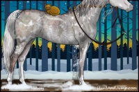 Horse Color:White Spotted Chocolate Silver Grullo Chinchilla Ice Brindle 