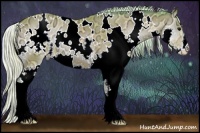 Horse Color:Watercolor White Spotted Silver Bay Ice Onyx Splash