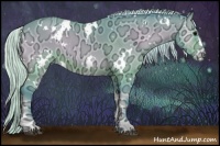 Horse Color:Watercolor White Spotted Silver Bay Ice Onyx 