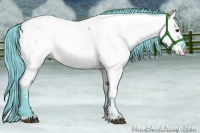 Horse Color:Watercolor White Spotted Liver Red Dun Appaloosa 