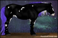 Horse Color:Watercolor Brown Onyx Sabino Appaloosa 