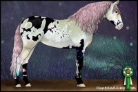 Horse Color:Watercolor Buckskin Onyx Sabino Appaloosa 