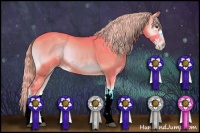Horse Color:Watercolor Chocolate Palomino Onyx Sabino
