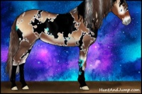 Horse Color:White Spotted Red Onyx 