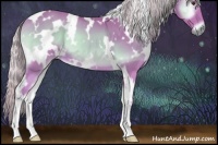 Horse Color:Watercolor White Spotted Palomino Onyx 