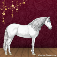 Horse Color:Gray White Spotted Palomino Splash 