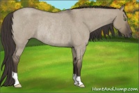 Horse Color:Smoky Grullo Roan Rabicano 