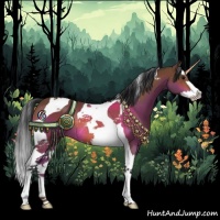 Horse Color:Bay Splash Tobiano Rabicano 