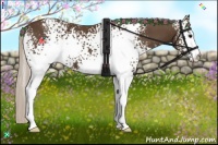 Horse Color:White Spotted Silver Smoky Black 