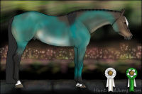 Horse Color:Gray Brown Dun Sabino 