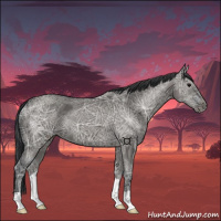 Horse Color:Grullo Ice 