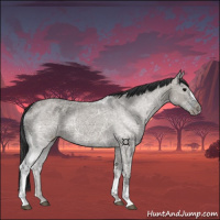 Horse Color:Grullo Ice 