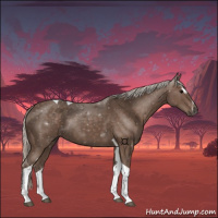 Horse Color:Silver Black Sabino Tobiano