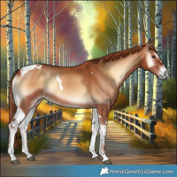 Horse Color:Red Onyx Tobiano 
