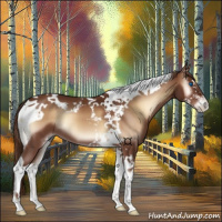 Horse Color:Red Onyx Splash Tobiano 