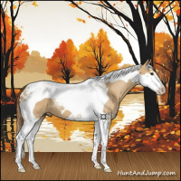 Horse Color:Red Dun Splash Tobiano