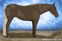 Horse Color:Gray Silver Smoky Black 