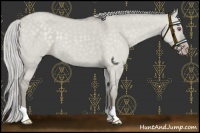 Horse Color:Silver Classic Cream Champagne Chinchilla Dun 