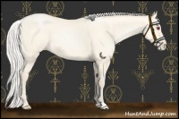 Horse Color:Chocolate Silver Smoky Black Chinchilla Pearl Sabino 