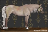 Horse Color:Chocolate Silver Smoky Grullo Chinchilla