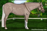 Horse Color:Chocolate Silver Smoky Grullo Chinchilla