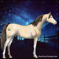 Horse Color:White Spotted Amber Cream Champagne Dun 