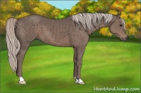 Horse Color:Silver Black 