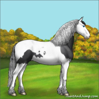 Horse Color:Blue Roan Splash Tobiano