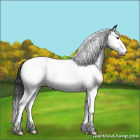 Horse Color:Blue Roan Splash Tobiano 