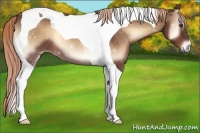 Horse Color:Red Onyx Tobiano