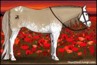 Horse Color:White Spotted Classic Cream Champagne Splash Varnish 