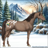 Horse Color:Classic Champagne Appaloosa 
