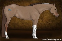 Horse Color:Liver Red Dun Tobiano 