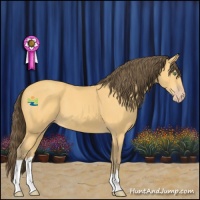 Horse Color:Amber Cream Champagne 