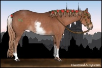 Horse Color:White Spotted Liver Chestnut 
